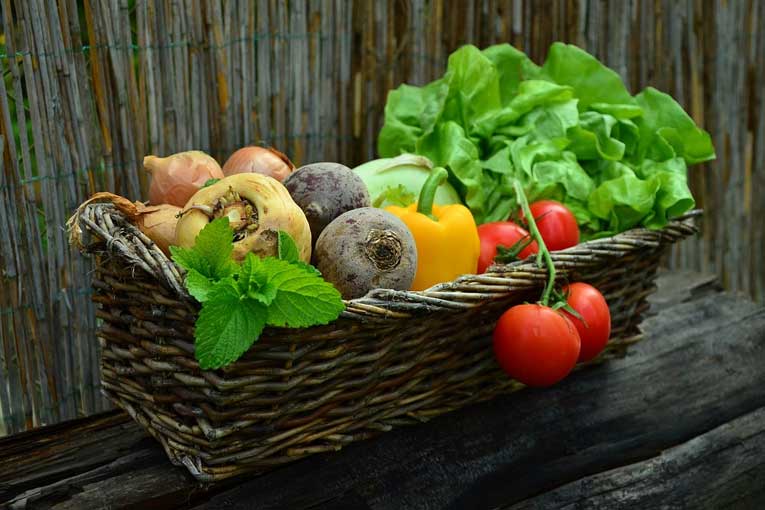 generadores de ozono desde el cultivo a la mesa