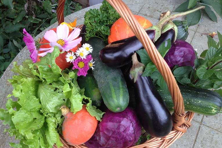 diez razones para usar el ozono en la desinfección de vegetales