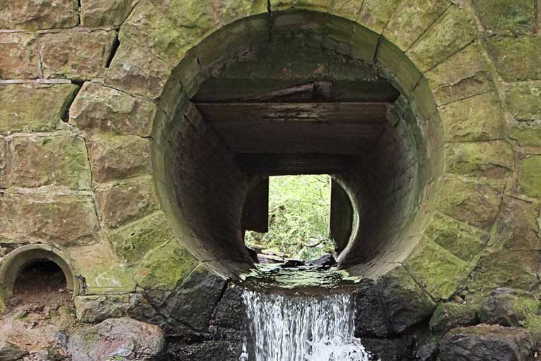 eliminación de bacterias en aguas residuales con ozono