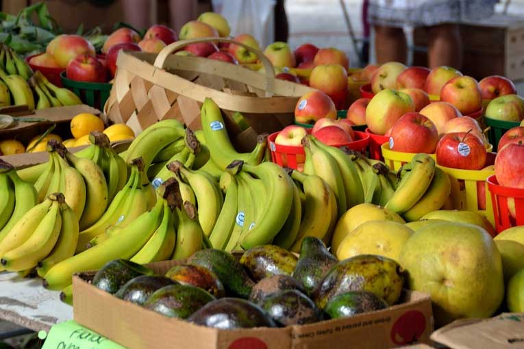 generadores de ozono en industria alimentaria