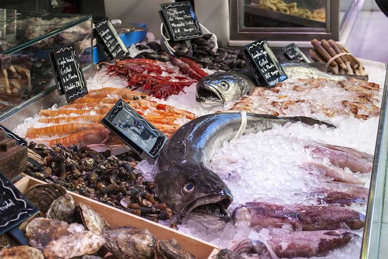 almacenar y conservar carnes y pescados en cámaras de frío con ozono