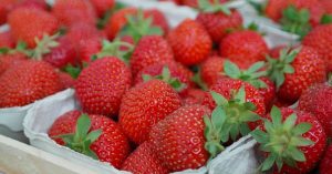 como aumentar la vida útil de las fresas