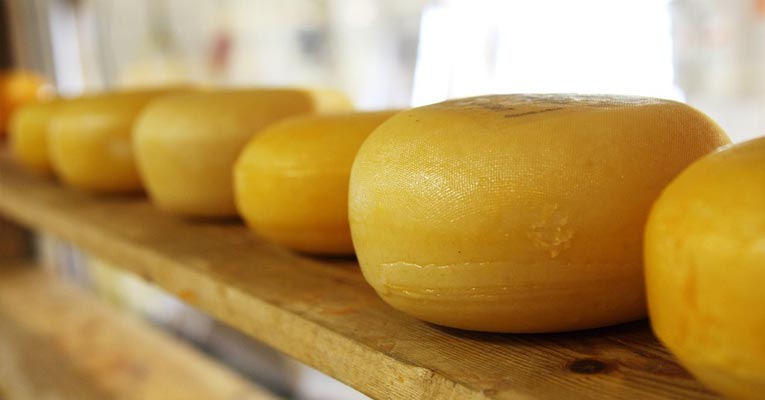 como eliminar ácaros del queso