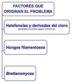 Factores que originan problemas con el corcho en botellas de vino