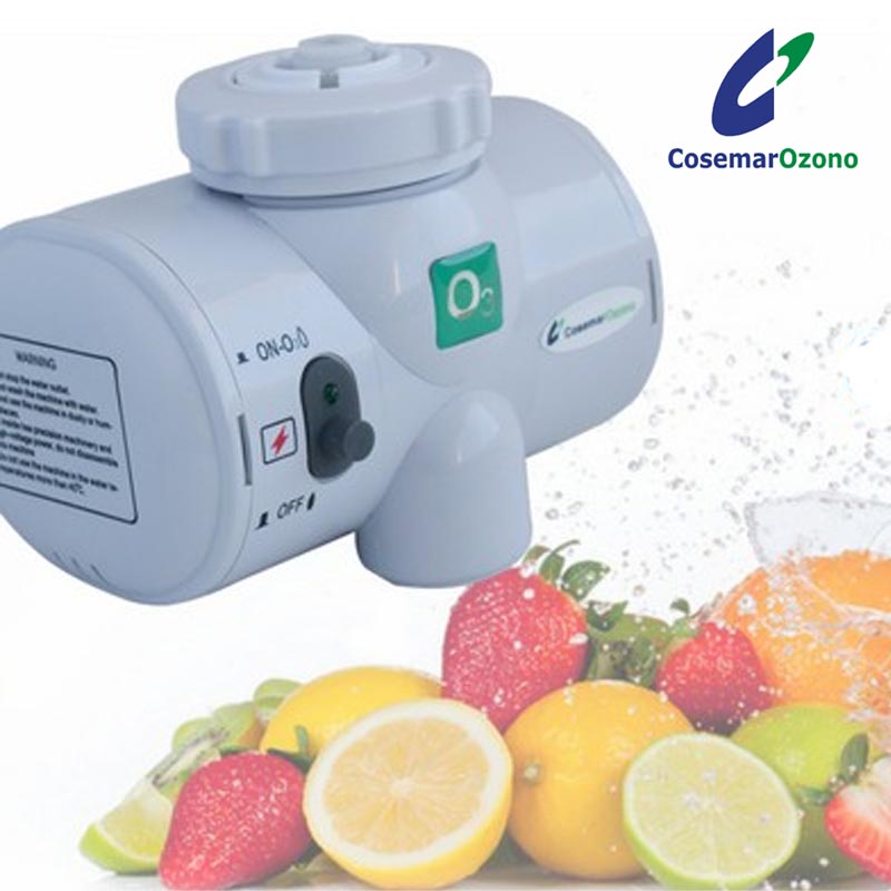 Generador de ozono purificador de aire 1000mg/h Máquina de ozono para  cocina casera Frutas y verduras Bolsa de caza de coches