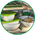 higiene alimentaria cosemar ozono