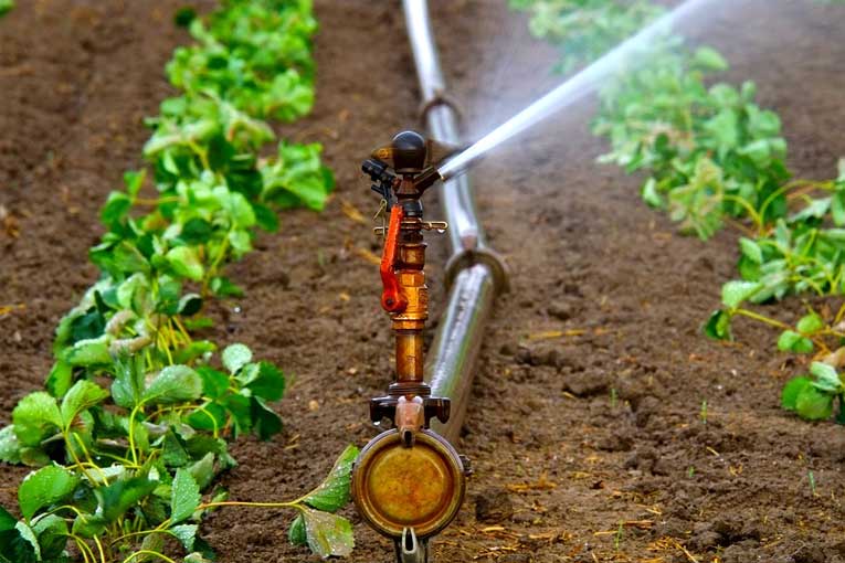 uso de generadores de ozono en la agricultura