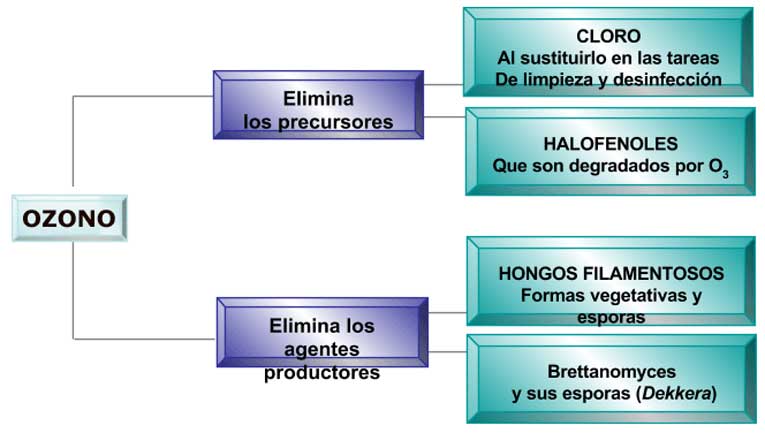 Como ataca el ozono la contaminación de los vinos