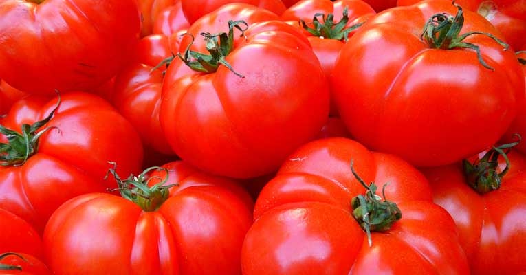 estudio conservación del tomate en atmósfera ozonizada
