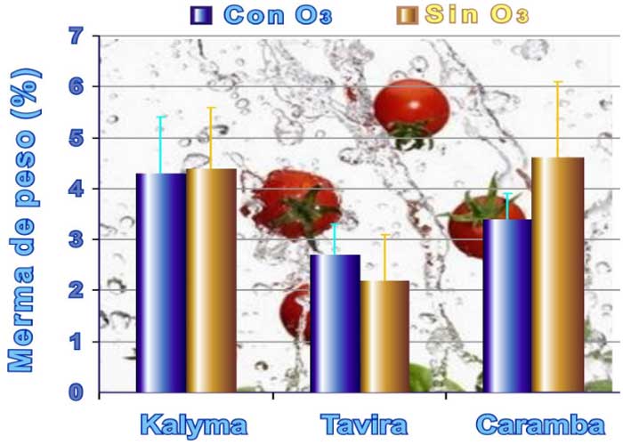 estudio de conservación del tomate en atmsfera ozonizada - mermas de peso