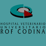 hospital universitario veterinario Rof Codina - Lugo