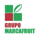 Verduras MarcaFruit - Madrid