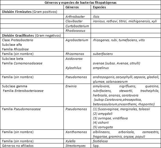 Géneros y especies de bacterias fitopatógenas