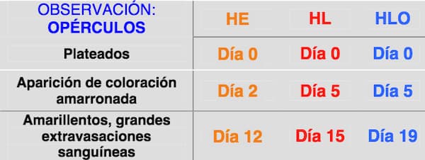 Estudio conservación de pescado con ozono: Opérculos